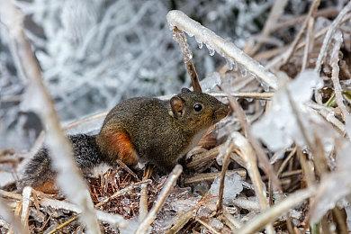 斯宾塞不担心Xbox未来：与索尼任天堂相比 我们有钱
