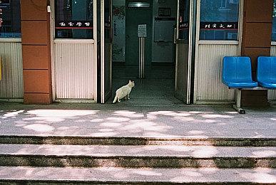 《星球大战：法外狂徒》宣传物料曝光 预购即将开启